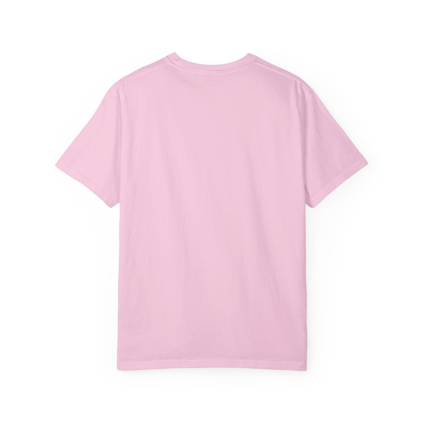 The Gulf Of America T=Shirt