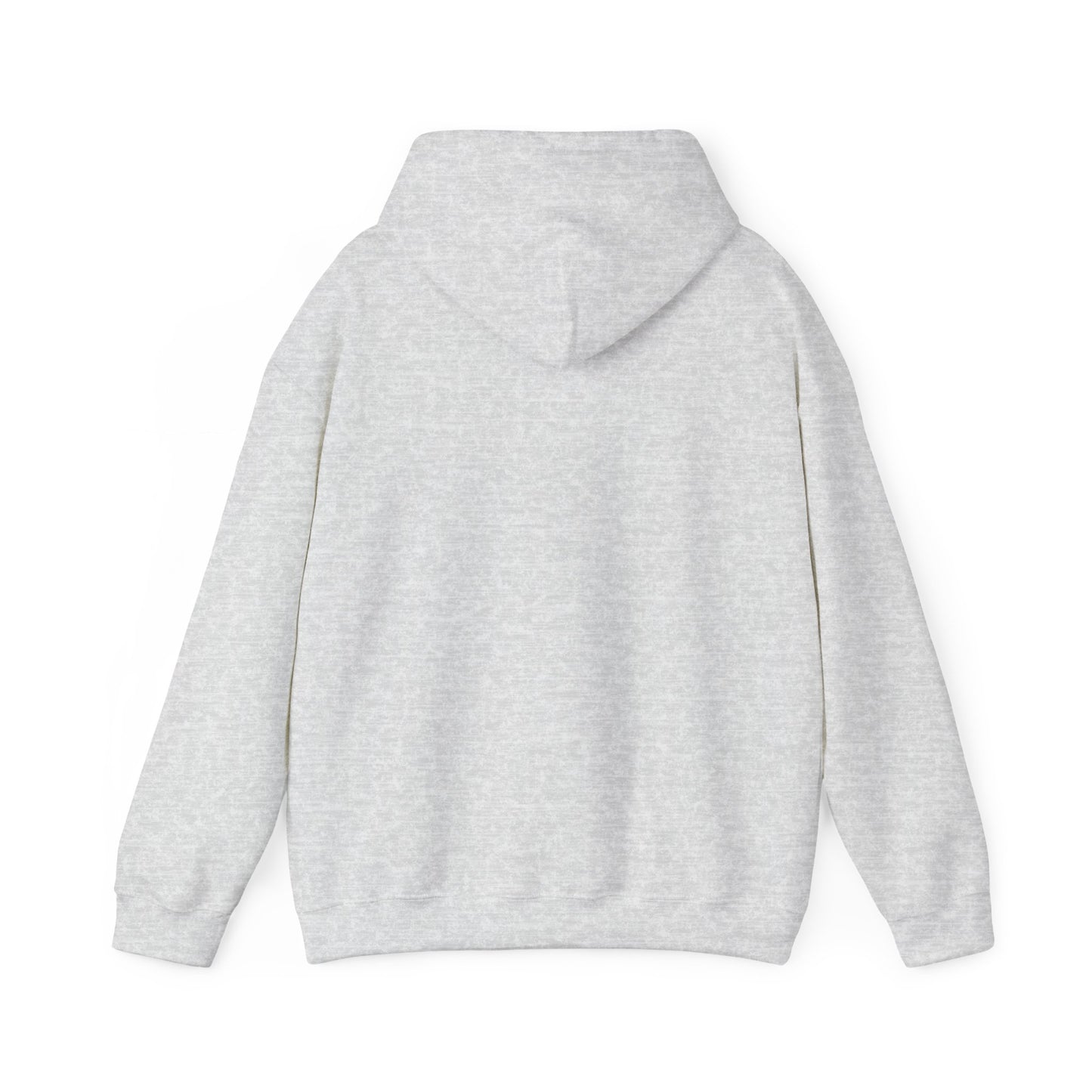 USA Hoodie