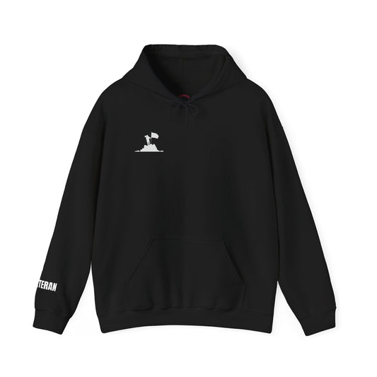 Freedom Isn't Free, Thank A Veteran Hoodie