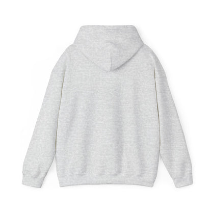 USA Hoodie